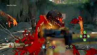 Bo4 Rush IX Gameplay