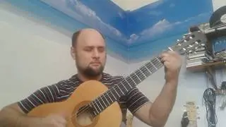 Два брата -  RealFingerstyle & Doff Guitars - Павел Должиков