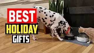 ✅Top 5 Best Holiday Gifts for Dogs in 2025