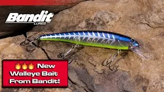 Introducing the  NEW  Bandit B Rotan