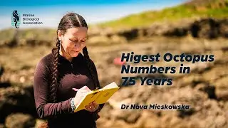 Senior Research Fellow Dr Nova Mieszkowska discusses the 2025 Octopus Bloom on BBC News