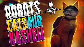 Wait A Meow-ment,Are You Kitten me ?  | STRAY | !member