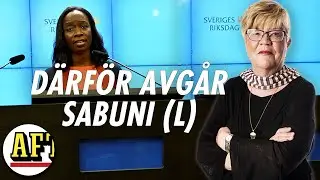 Lena Mellin: Fyra misstag &ndash; d&auml;rf&ouml;r avg&aring;r Nyamko Sabuni