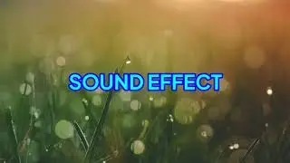 Crying Asian Guy - Sound Effect - Meme.mp3
