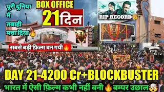 Shaitan Vs Tiger3 Box Office Collection🔥|Shaitaan Day 21 Box Office Collection Shows Housefull🔥|
