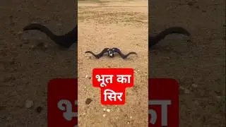 भूत का सिर😨😨#story #reel #tiktok  #instagram #facebook #kids #ghost #bhoot #cartoon #horror #scary