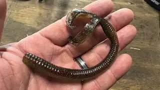 I LOVE This Plastic Worm For Late Summer Fishing 