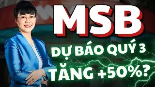 Sự Thật MSB | Dự B&aacute;o Qu&yacute; 3 Lợi Nhuận Tăng Khủng +50%?