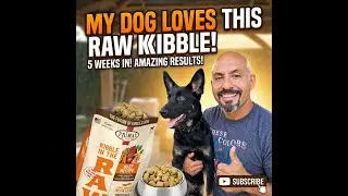Primal Made Raw Feeding your dog 100% easier. Great Stuff!