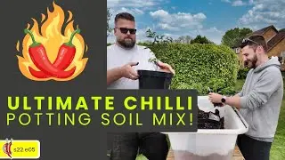 Potting up and sharing my Chilli Pepper Soil Recipe🌱 (2022e05)