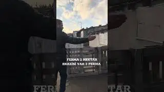 FERMA SATILIR 2 HEKTAR TORPAĞ 3 FERMA SENETLER TAM QAYDASINDADIR ☎️051.421.71.71