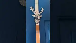 Upgrade Your Front Door with Brass Bee Door Knocker & Autumn Wreath 🍂