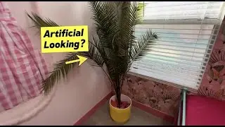 No Water, No Mess &mdash; Perfect Indoor Palm Tree
