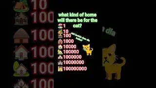 Jaki będzie dom dla kotka? (what kind of home will there be for the cat?) #funny #cat #house