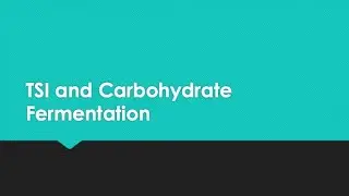 TSI and Carbohydrate Fermentation