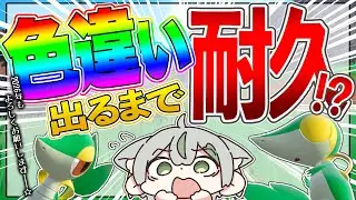 【年末コラボ企画✨】　色違いが出るまで配信が終われない...⁉️蛇ポケモン色違いが出るまで耐久配信✨　【しづちゃ🍵】