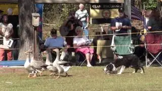Scotland County Highland Games