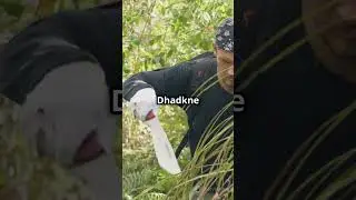 A Unique Encounter in Devkund's waterfall trek  #horrorstories #scarystories #ghost