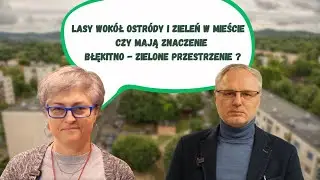 Czy warto rozmawiać o zieleni w mieście?