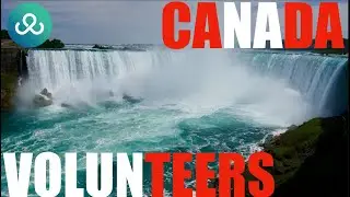 Canada Volunteers: Find Volunteering Opportunities Near You | Giving Back & Making a Difference