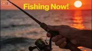 Today’s target: 200 fish!! 🎣🔥