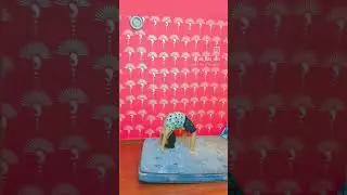 #lifeingoa #youtubeshorts #shortvideo #shorts #short #subscribe