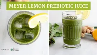 Meyer Lemon Prebiotic Juice | Recipes For Gut Health | Limoneira