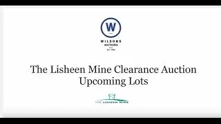 The Lisheen Mine Clearance Auction