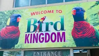 World’s LARGEST Free Flying Indoor Aviary Bird Kingdom Niagara Falls Talk And Walk  July 28, 2021