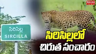సిరిసిల్లలో చిరుత సంచారం | Chirutha Hul Chul In Sircilla | Mahaa News