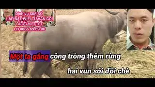KARAOKE MƯỜI NHỚ DÂN CA QUAN HỌ  TIẾNG DAO