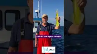 A pescaria s&oacute; fica completa com a Isca Lula da Lontro!