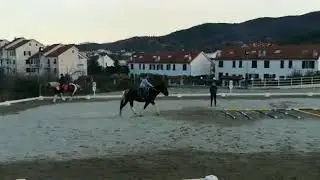 Jacopo con il cavallo Morgan
