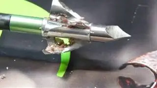 Flying Arrow broadheads vs deer shoulder