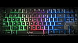 Compact Gaming Keyboard with RGB Lights | Amkette Evo Fox Fireblade Review