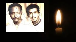 new Eritrean tigre music Amanet Shid by Seid Salim 2024