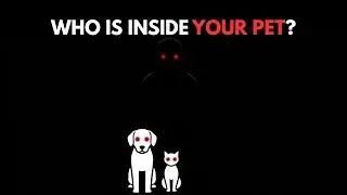 Don&rsquo;t Trust Your Pet After This - analog horror