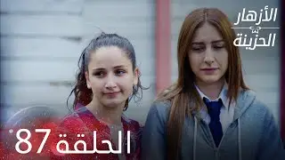 الأزهار الحزينة | الحلقة 87 كاملة | Kırgın Çiçekler