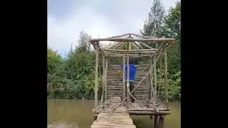 Building a Floating Forest Shelter | Man & Dog Survive Off the Land