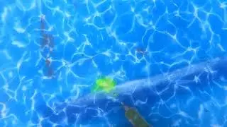 Vinyl lined swimming pool leak detection and repair in Gatton