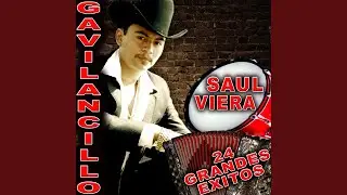Camino Equivocado