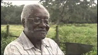 Black Church-Black Lives Matter