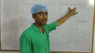 NS Institute/ Artificial Transmutation vs Artificial Radioactivity (Bengali)