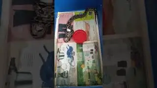 ataque sigiloso de una boa Sigma alimento vivo