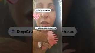 STOP MACELLI !!!!!  STOP MACELLI.IT FIRMATE