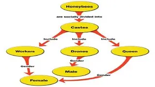 How to Make a Concept Map in Microsoft Word
