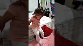 El p&aacute;jaro  loco  y su canci&oacute;n