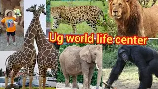 Welcome to uganda world life center, let's tour around.