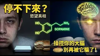從多巴胺奴隸到掌控者：8分鐘看懂影響你一生的科學秘密