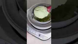 Homemade Pandan Ice Cream